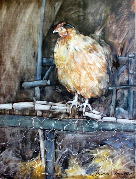 Roosting Time