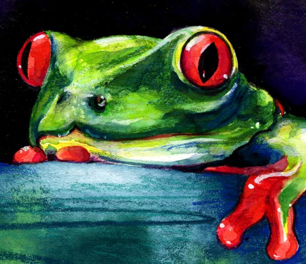 Frog