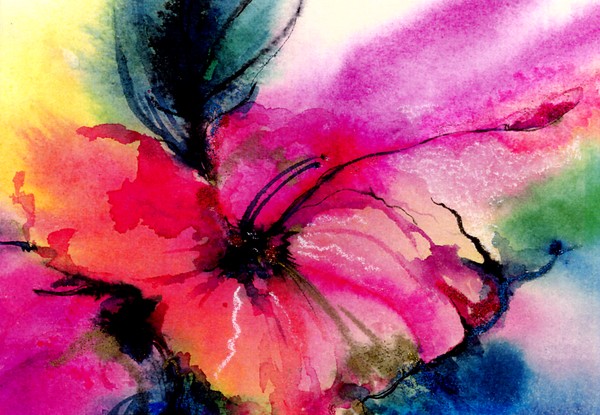 Colorful Bloom