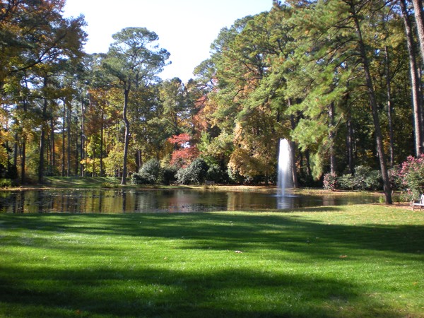 Norfolk Botanical Garden