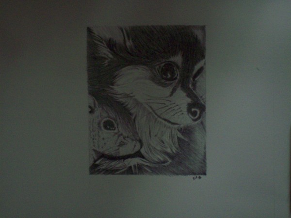 JoJo and the Squirrel