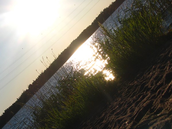 beach 2010-midsummer