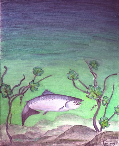 Salmon Shark