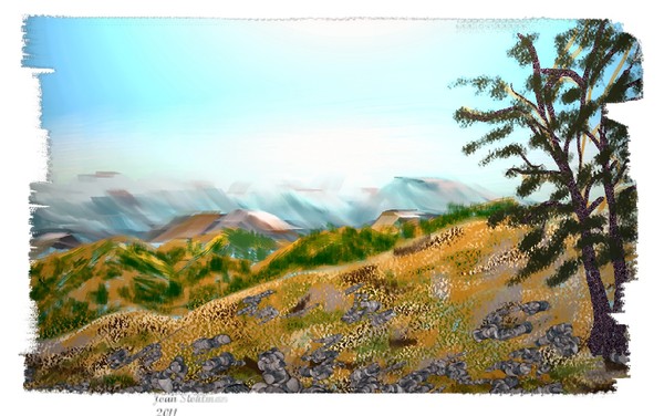Rockies