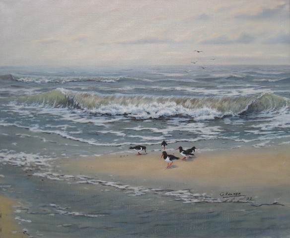 Birds 