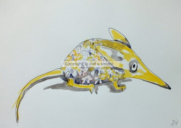 Longnosemouse