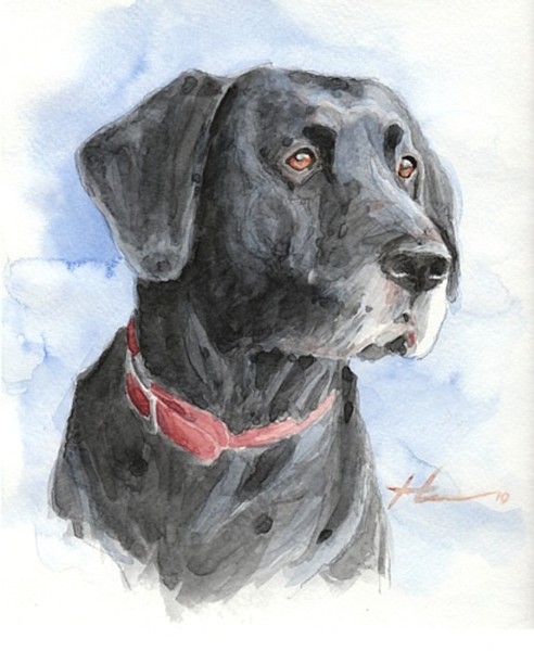 Dog painting