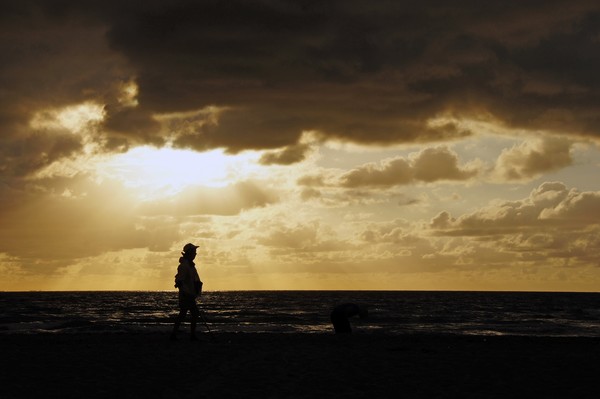 The Beachcomber