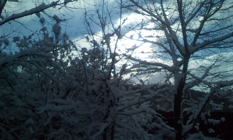Frosty day