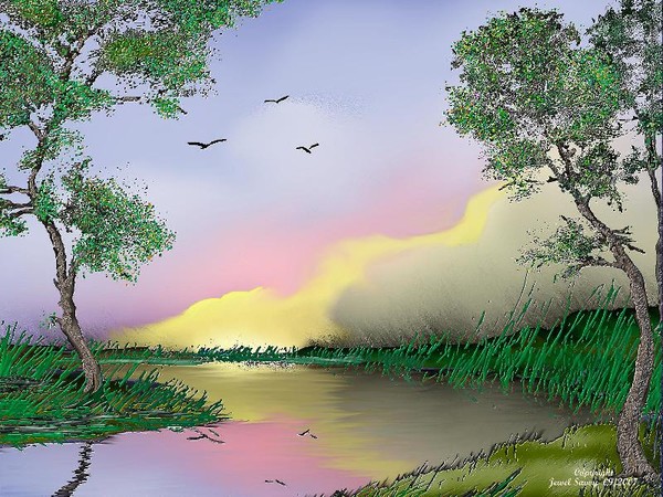 Morning Stillness
