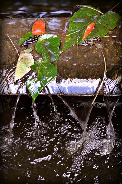 Against The Flow