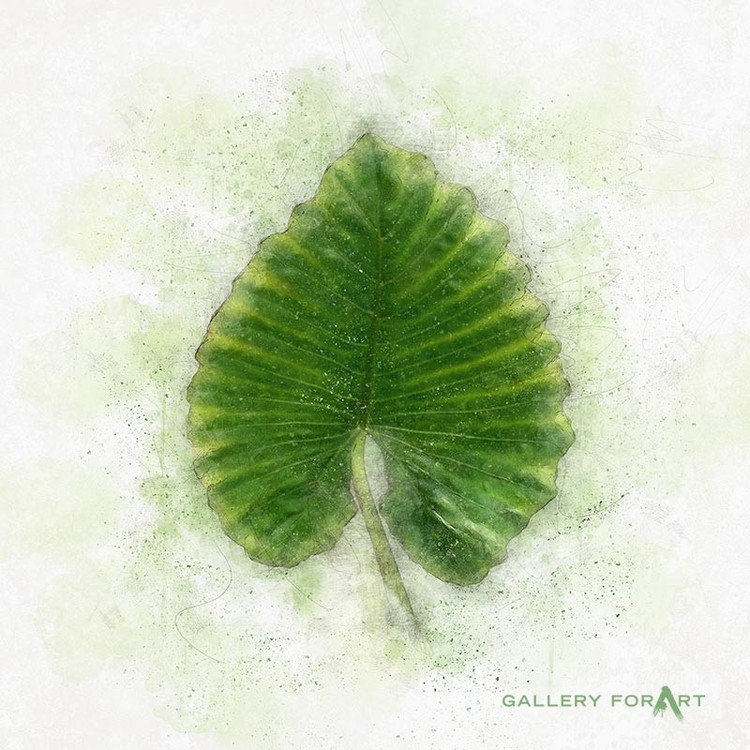 tropical-leaf-green-03