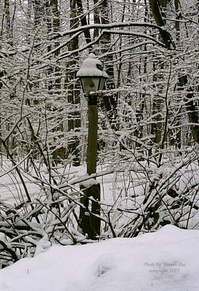 Lampost
