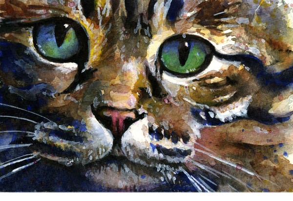 Cats Eyes 7