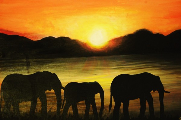 Elephants