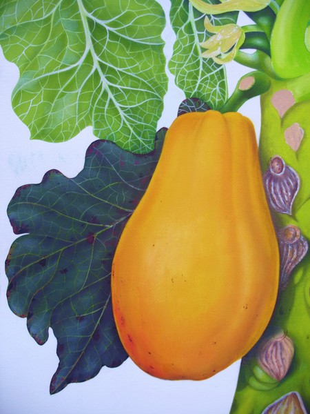 Antique Papaya - Pastel and Watercolor