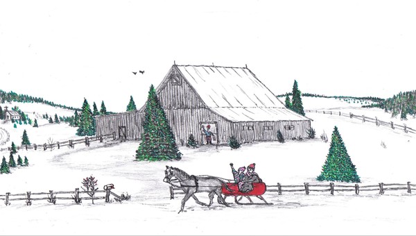Christmas on the farm