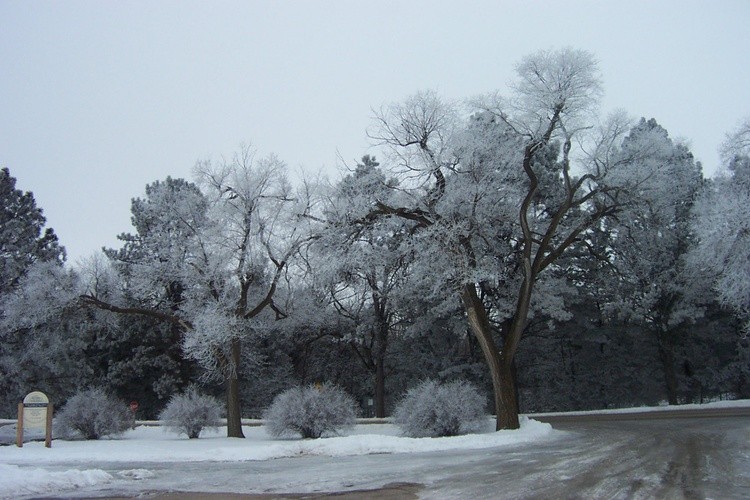 Hoar Frost 22