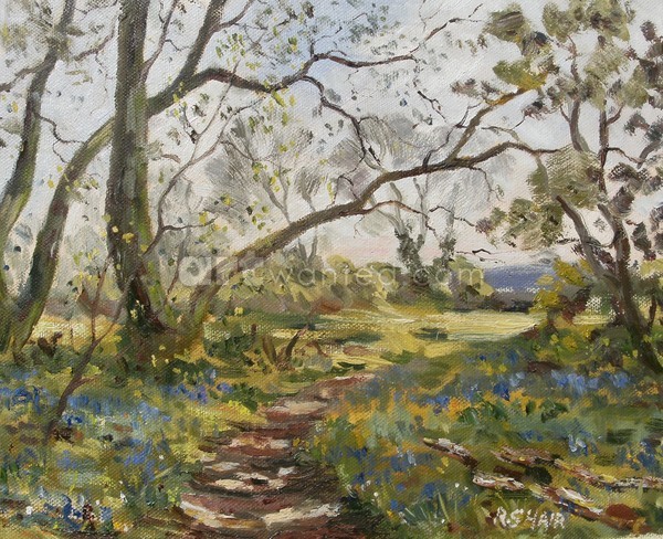 The Bluebell Wood