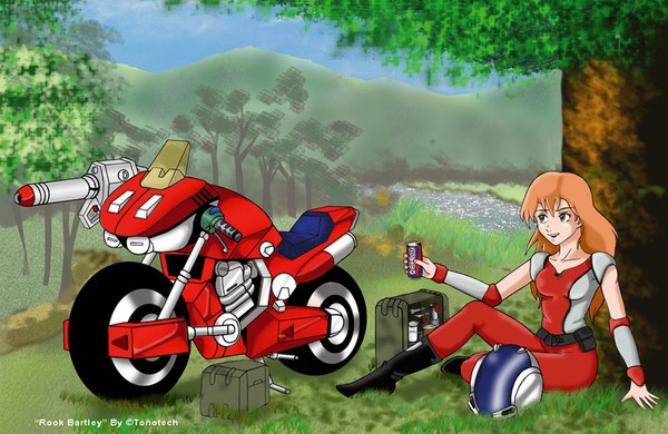 Robotech: Rook Bartley