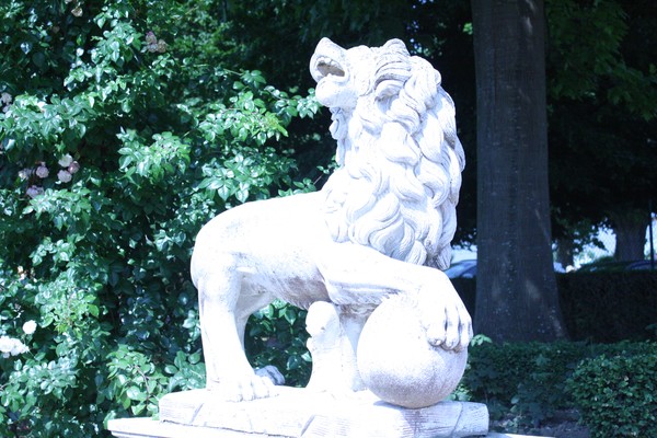 The Lion 