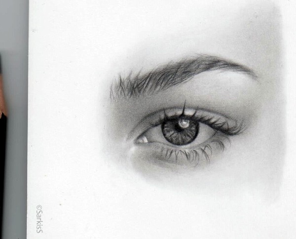 Eye