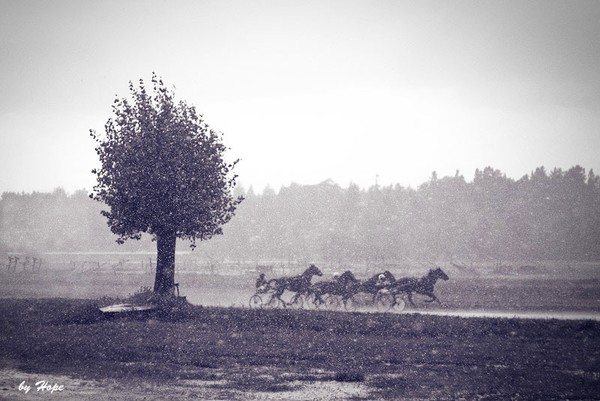 Heavy Rain in June