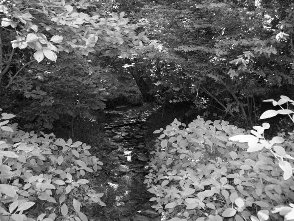 Small Stream