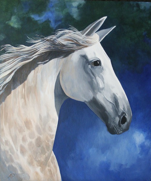 Dappled stallion