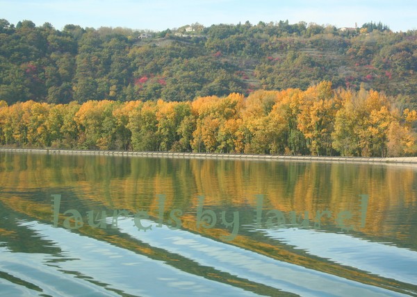 Autumn along the Rhone River