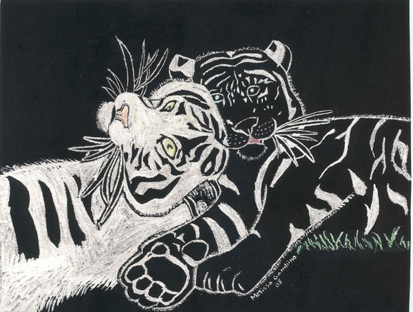 lLazy tigers
