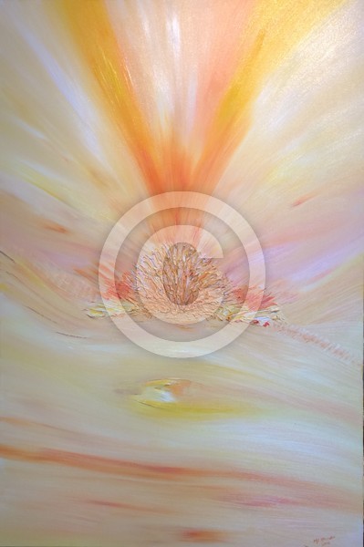 Title  ' Angel Ray's '