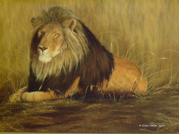The lion king