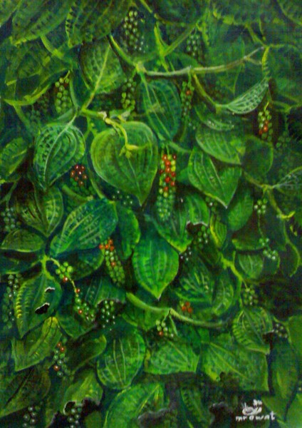 Black pepper berries