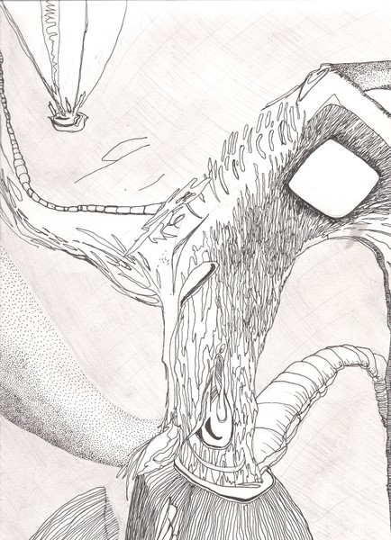 Bridges_and_Arteries