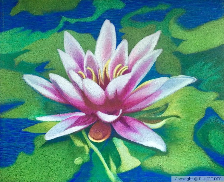 LE NYMPHEA DANS GIVERNY
