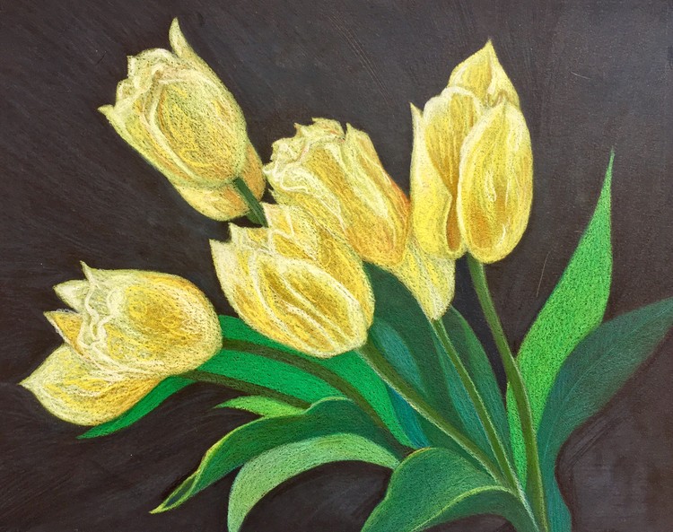 YELLOW TULIPS