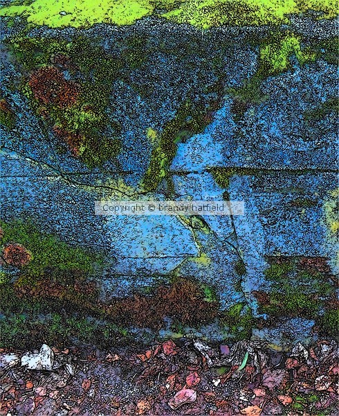 moss scenic one
