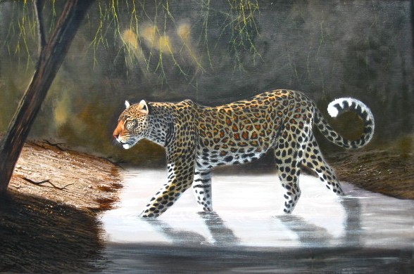 Leopard Stalk