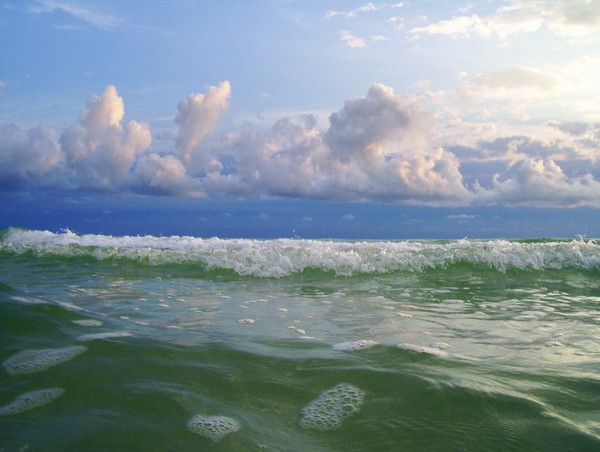 SURF'S UP