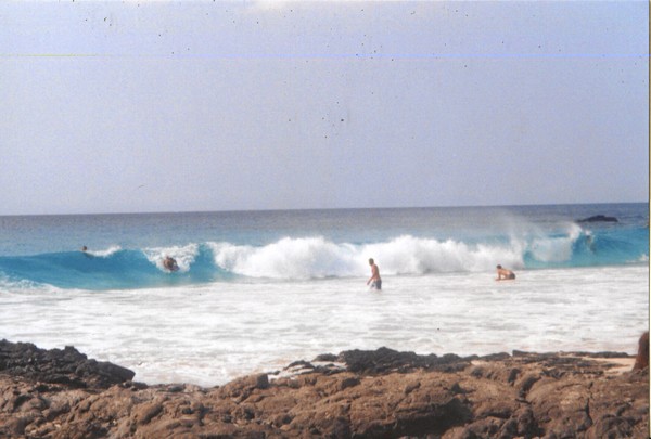 knarley wave dude