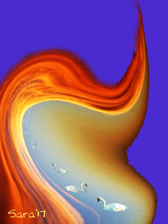 Swan Cloud