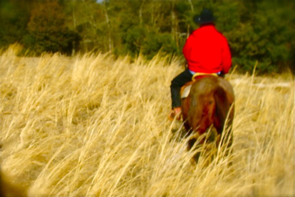 slow ride