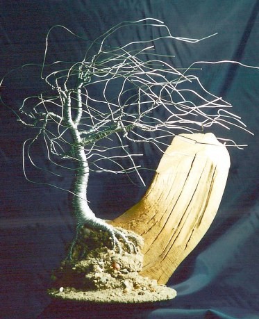 Wind Swept on Driftwood, wire tree sculpture