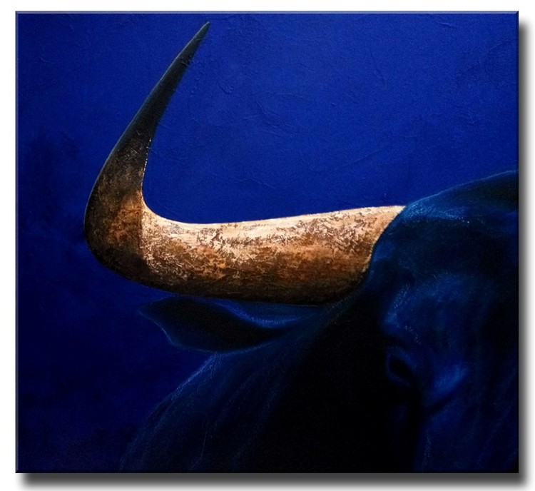 dettaglio TOROS 23