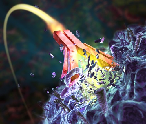 antibody_destroying-cancer-cell