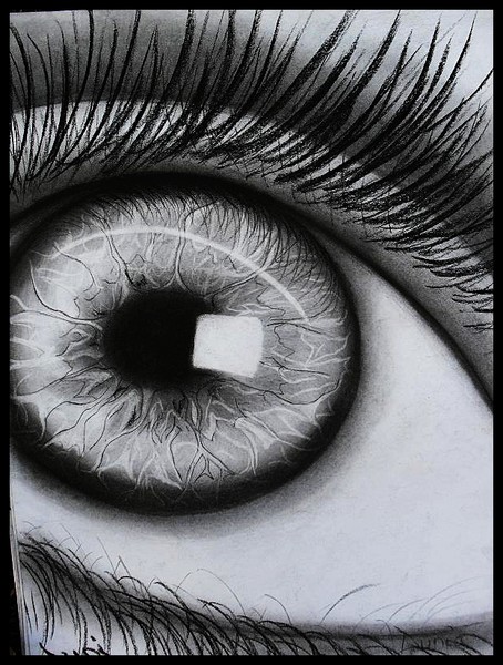 Eye