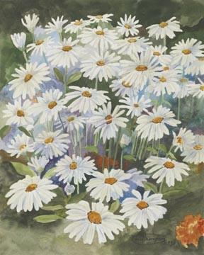 Daisies