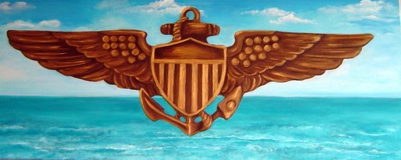 Navy Wings