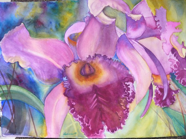violet orchid